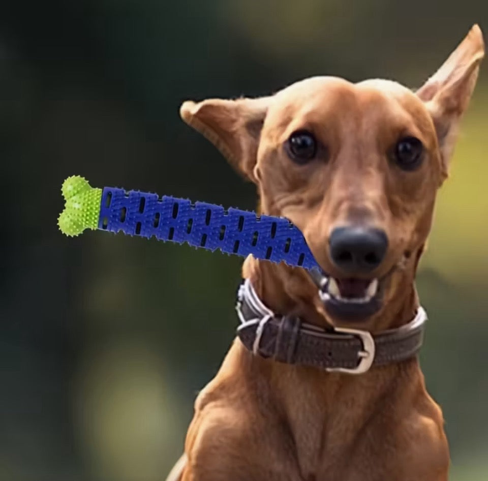 Chewbrush Toothbrush and Toy