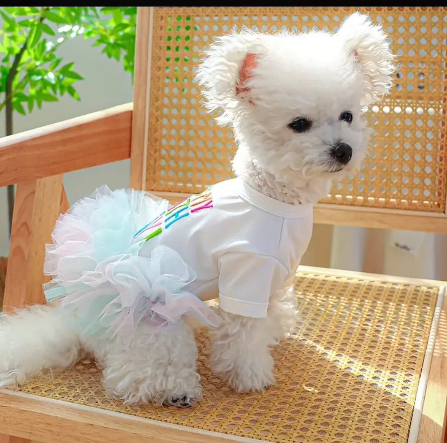 Happy birthday Frilly Dress