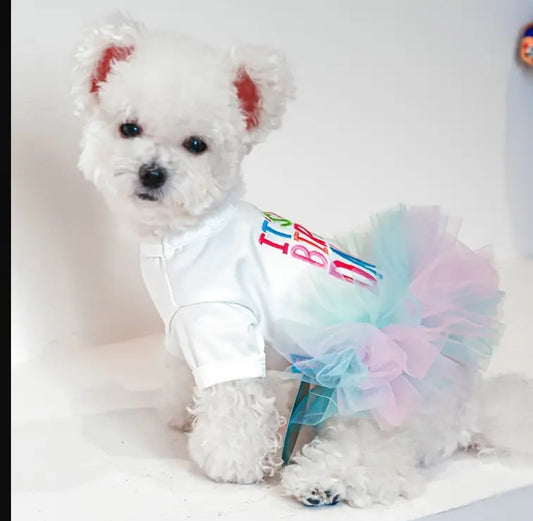 Happy birthday Frilly Dress